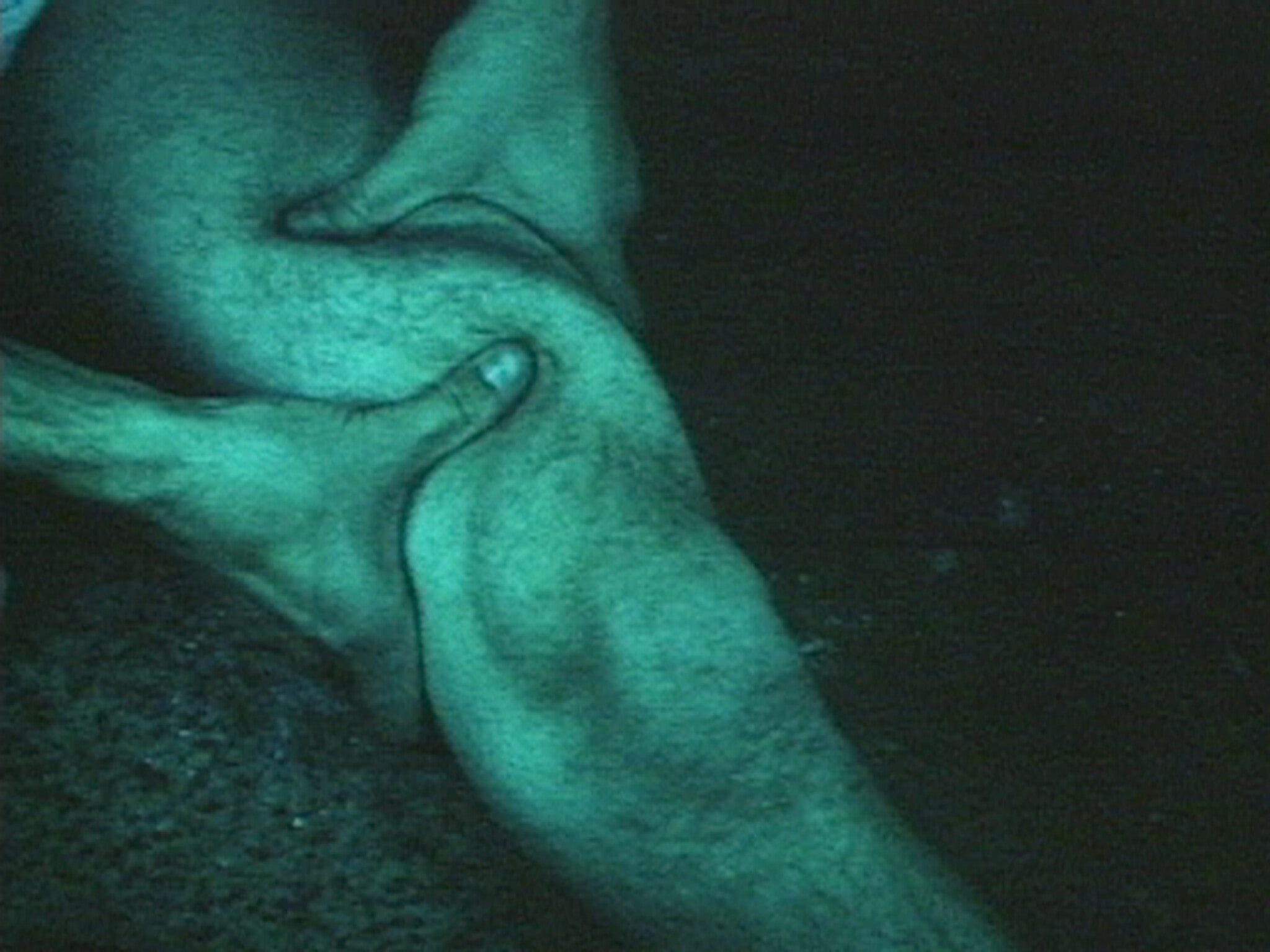 Thighing (Blue)