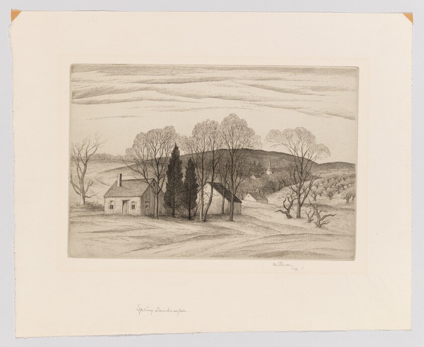 Spring Landscape