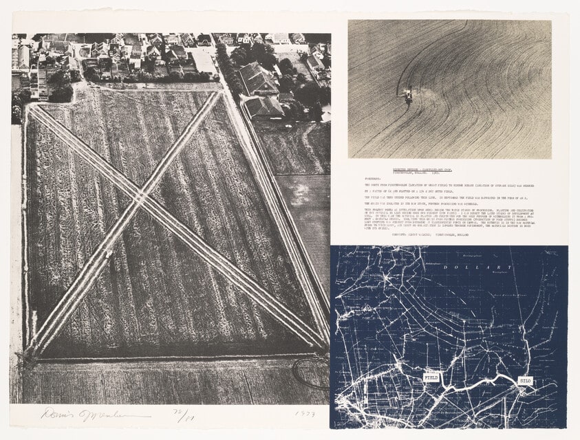 Cancelled Crop - Direct Seeding