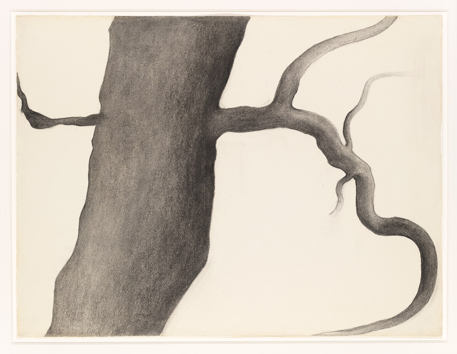 Drawing IV