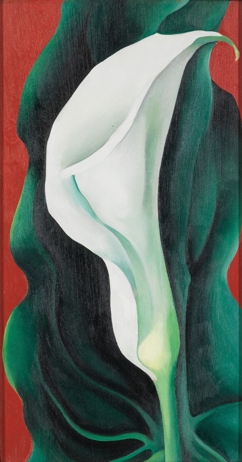 Single Lily with Red