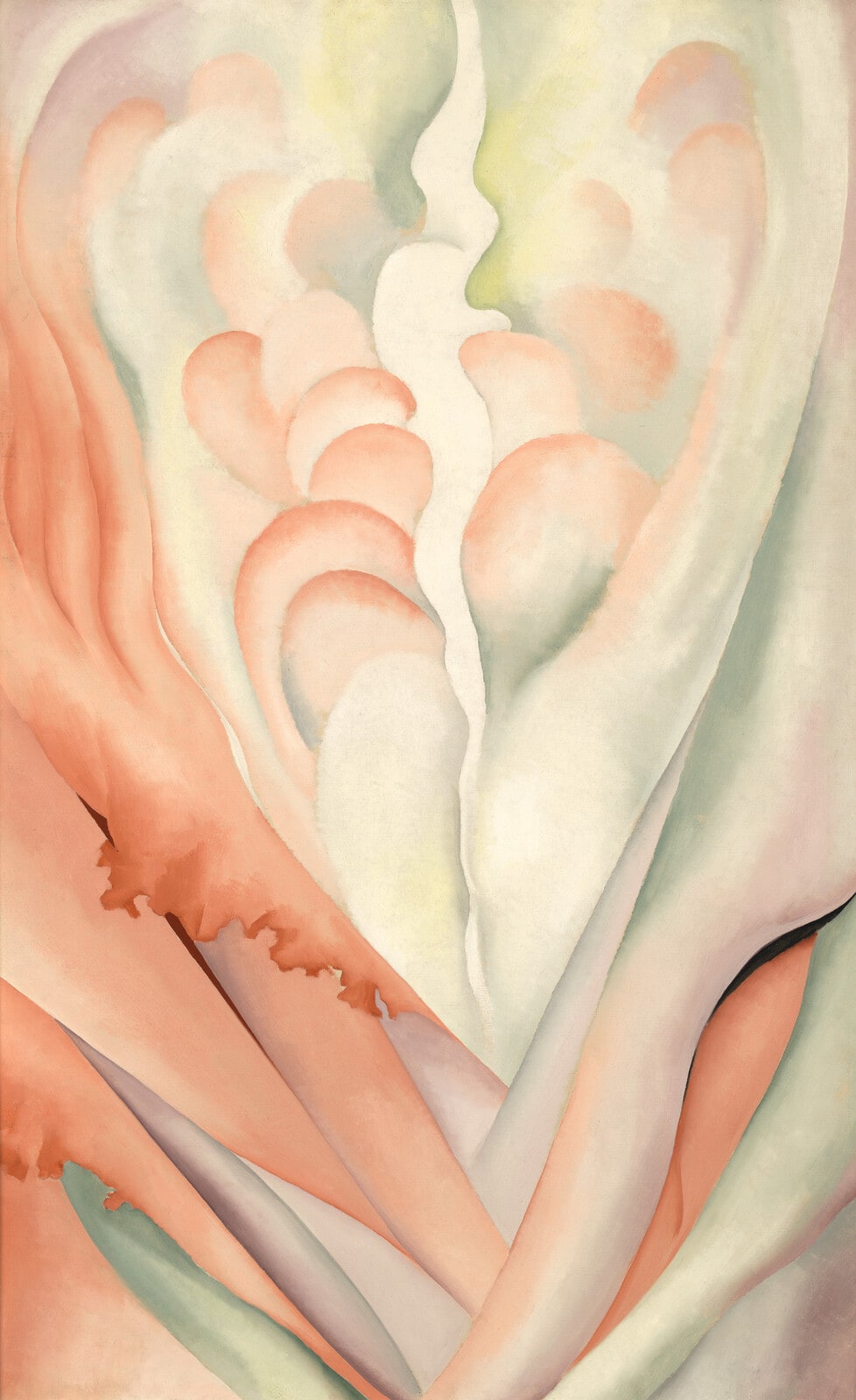 Flower Abstraction