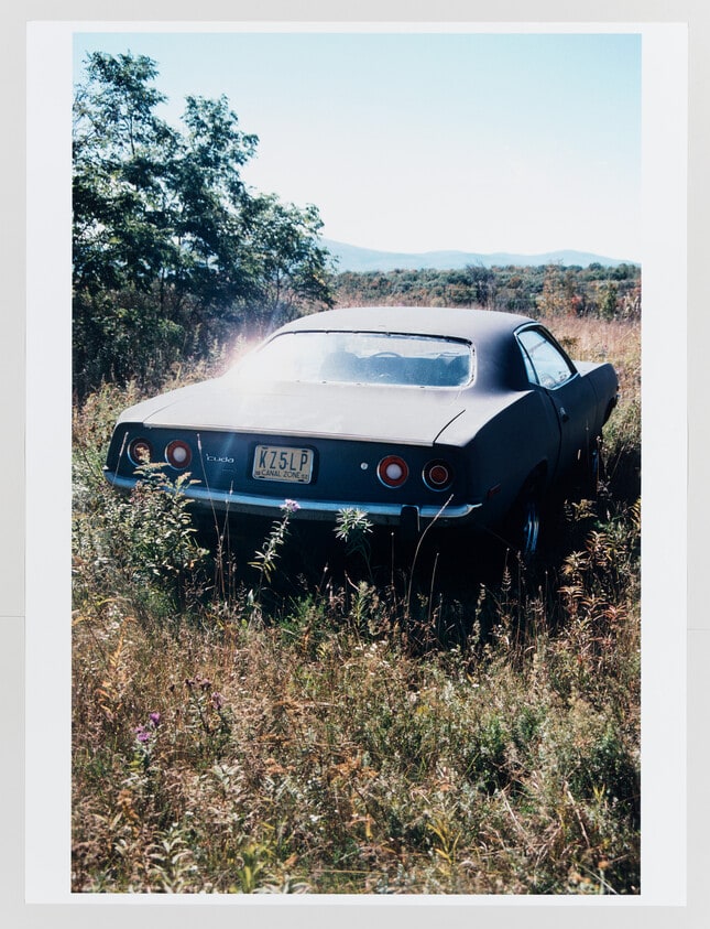 Untitled (Upstate)