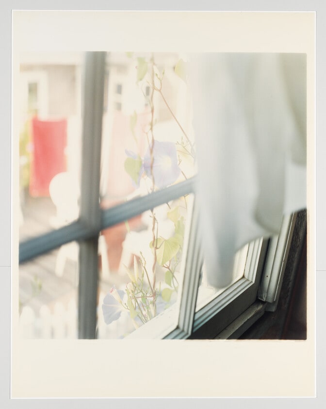 Morning Glories, P-town