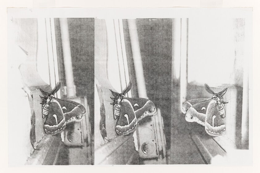 Untitled (Study for Spring)