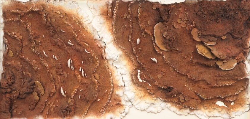 Competing Crusts