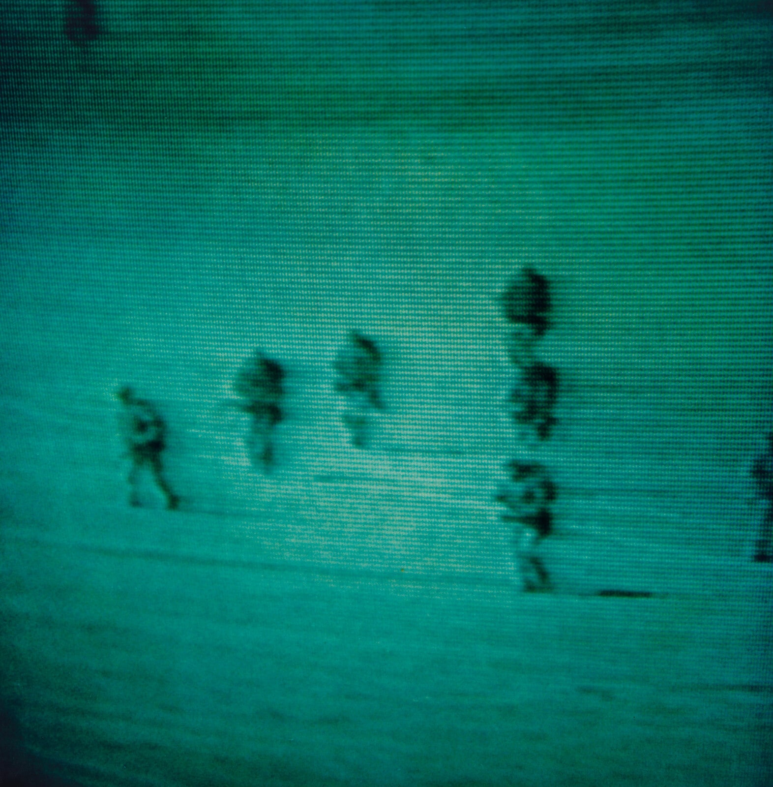 Decoy #3