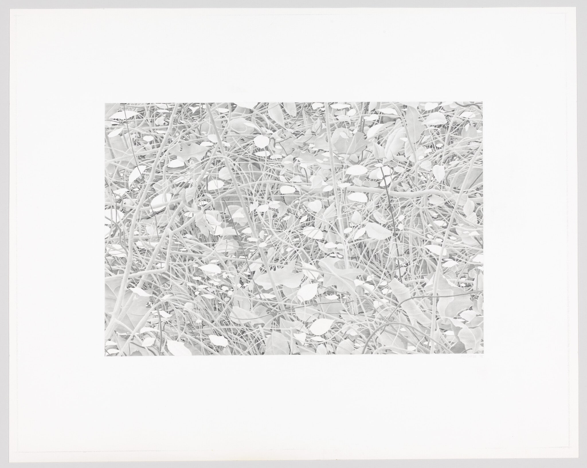 Autumn Rhythm, 1995