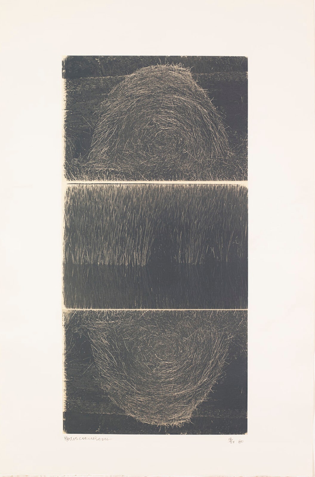 The Razorback Bunch (Etching II)