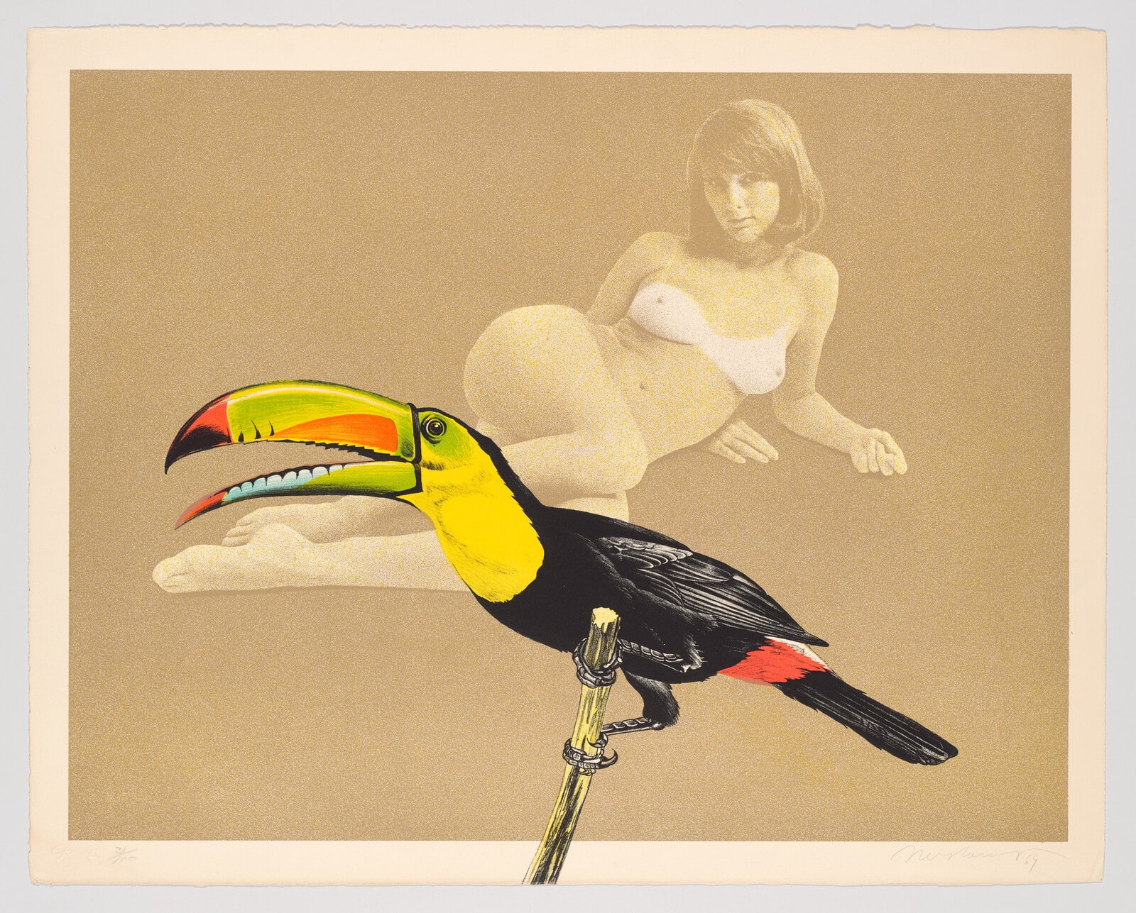 Toucan Better Than One