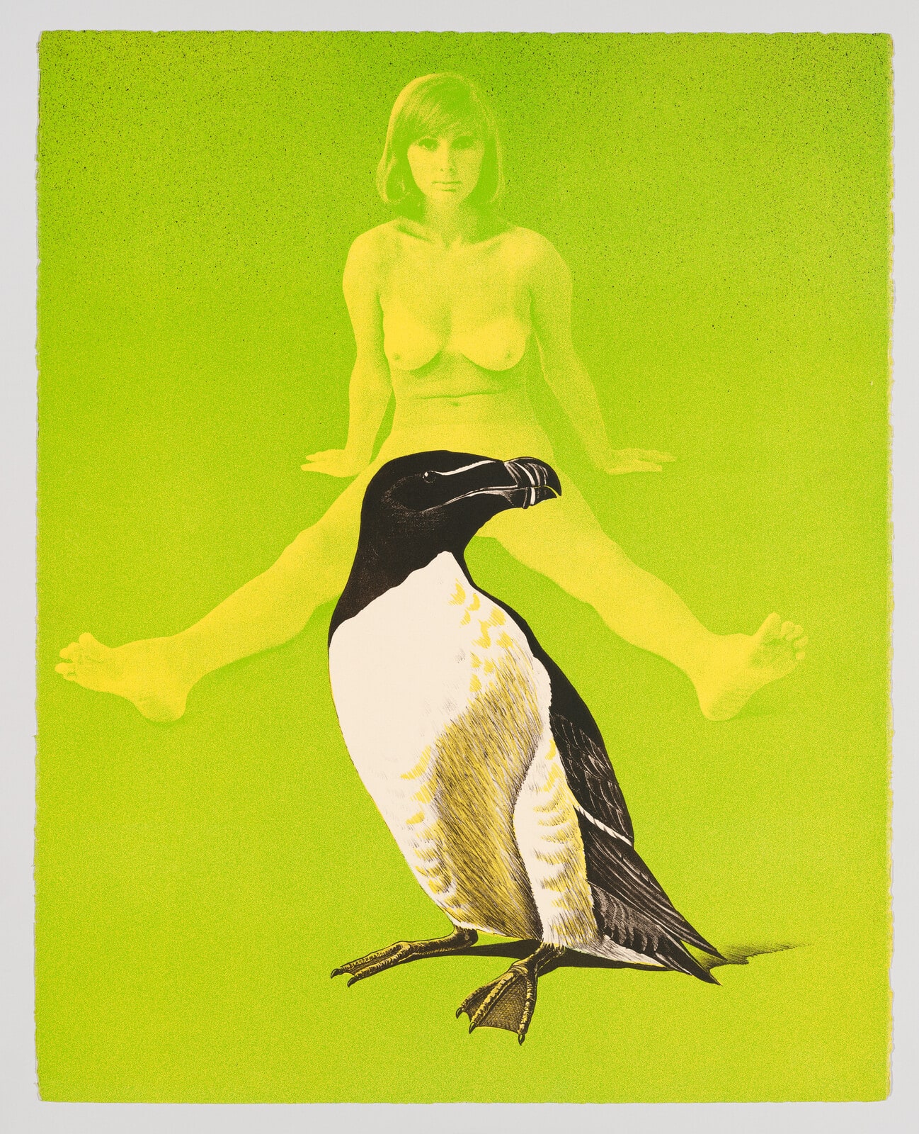Annie and the Auk