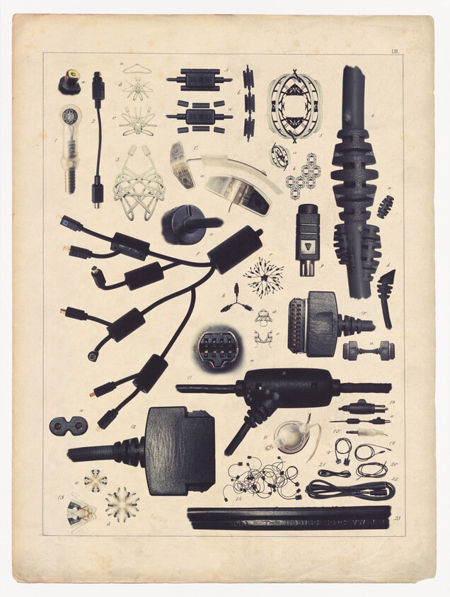 Comparative Morphologies LIII