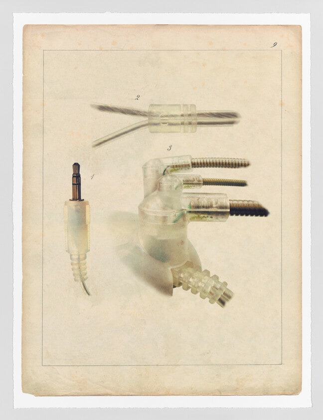 Comparative Morphologies #9