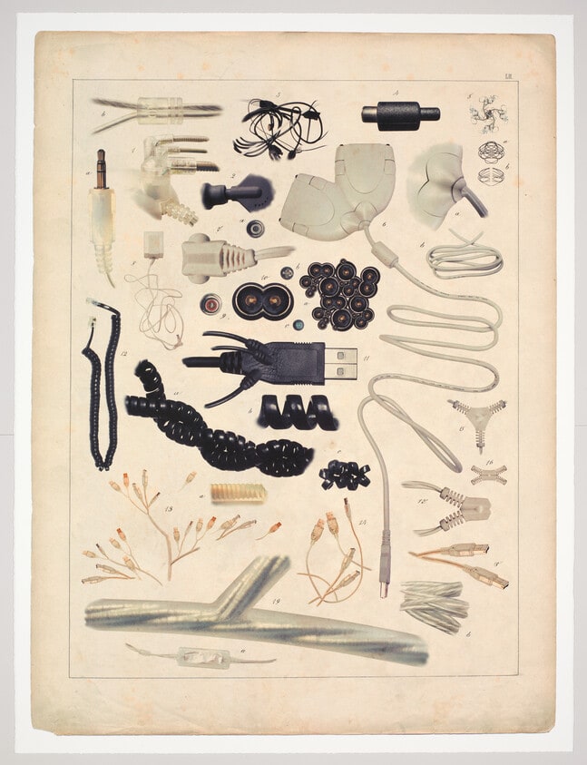 Comparative Morphologies LII