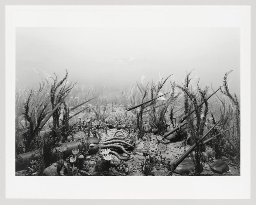 Ordovician Period