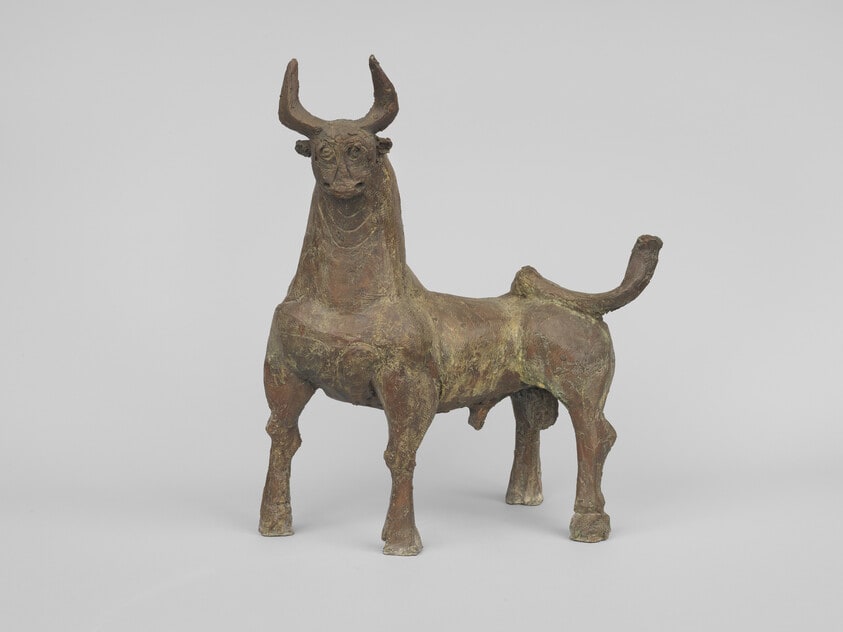 Bull