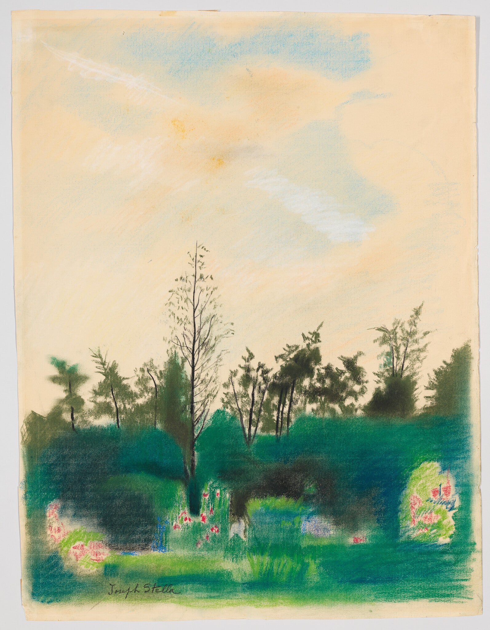 The Garden