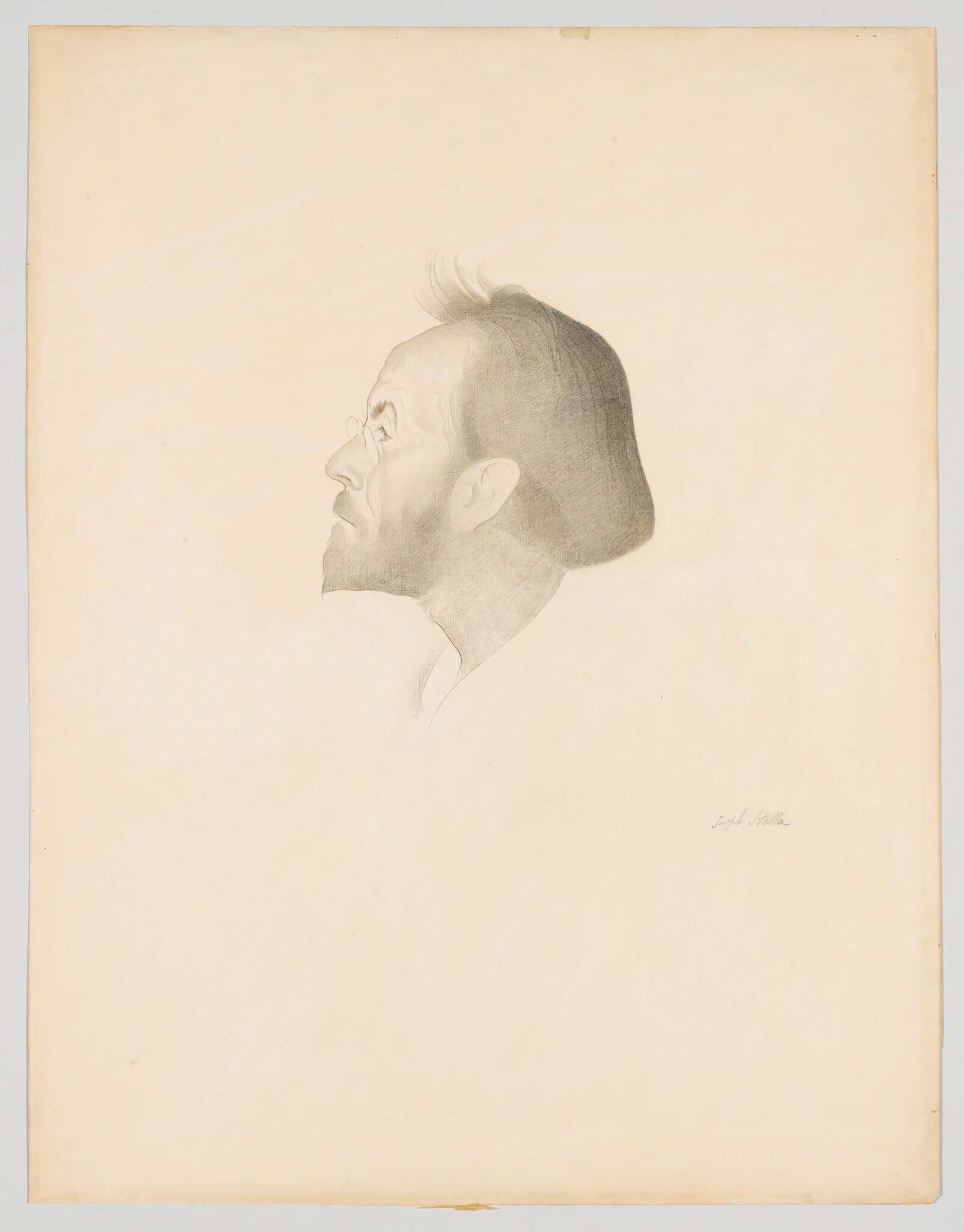 Louis Eilshemius