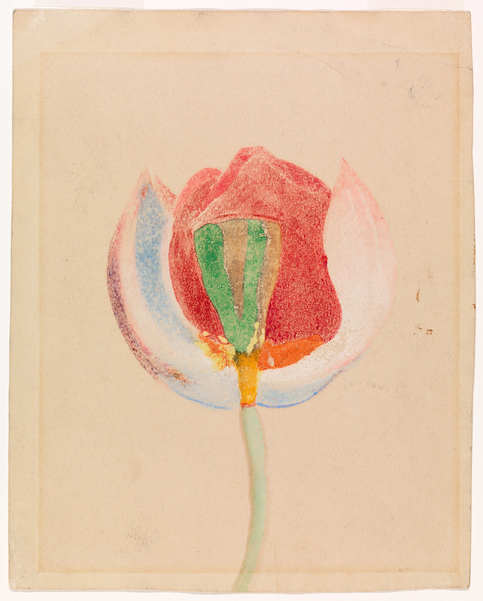 Untitled (Tulip)