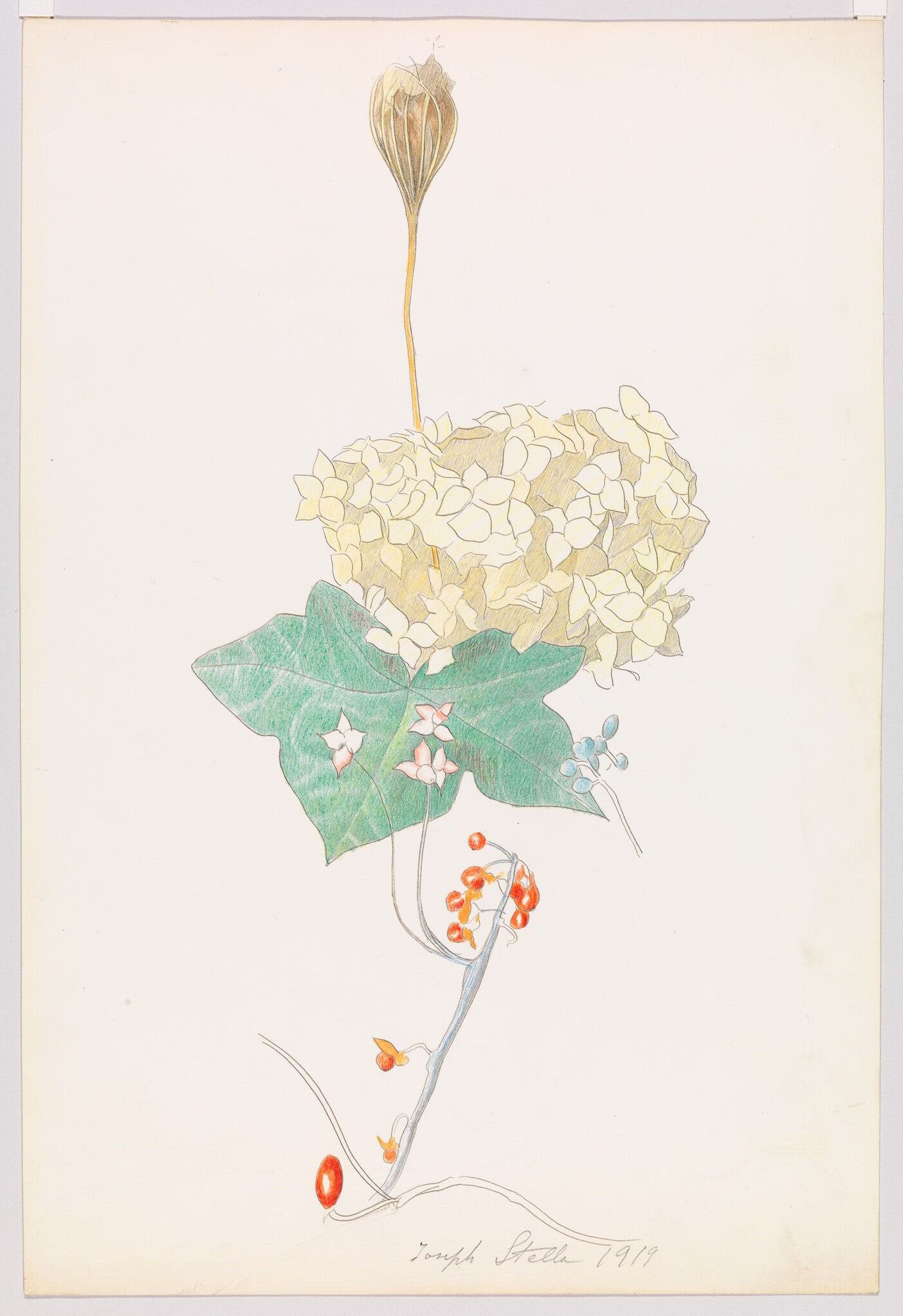 Mixed Flowers with Hydrangea