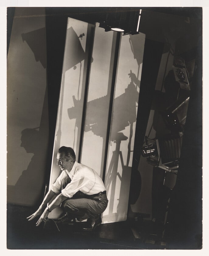 Self-Portrait with Photographer's Paraphenalia
