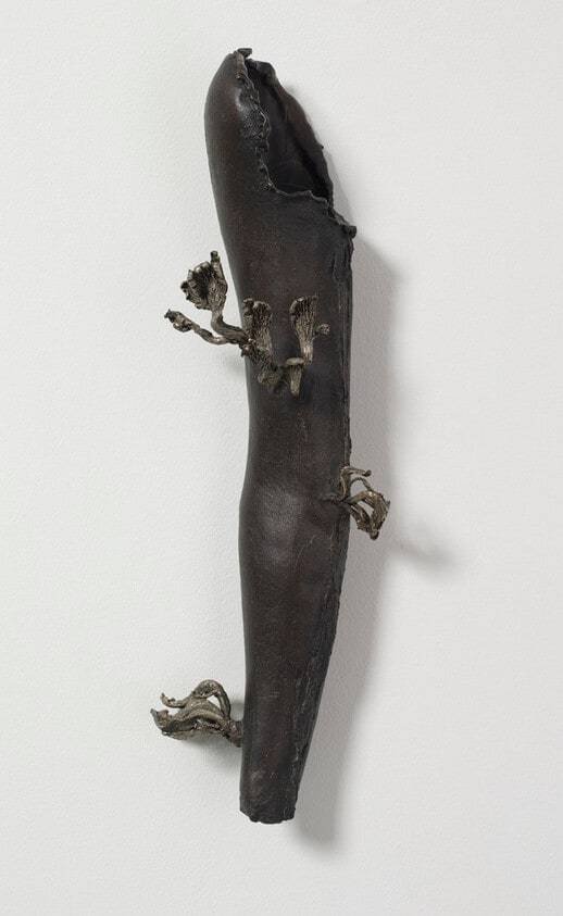Arm with Mushrooms