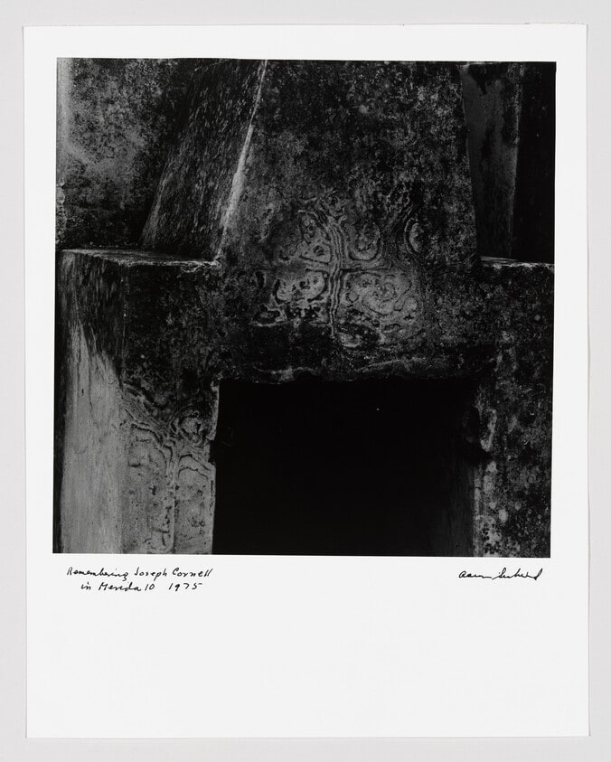 Remembering Joseph Cornell in Merida 10