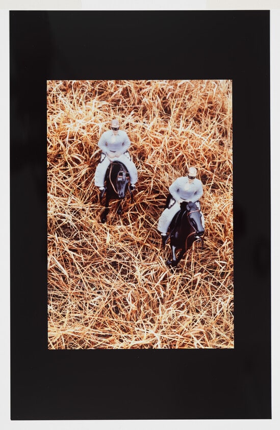 Brothers/Aerial View/Vertical