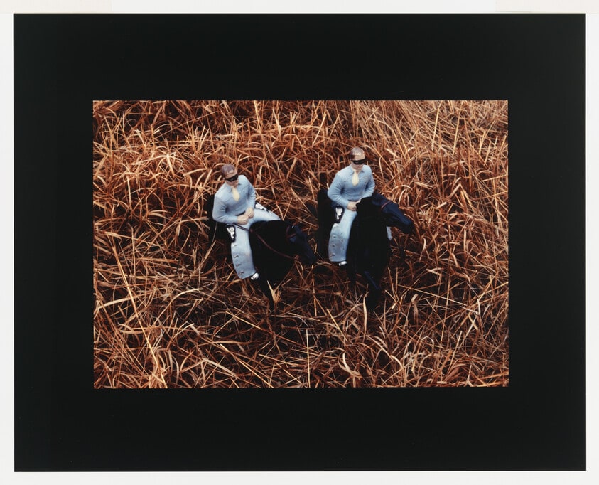 Brothers/Aerial View