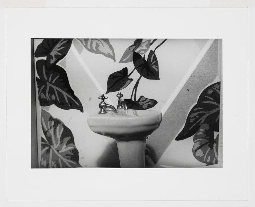 Sink/Ivy Wallpaper/2nd View