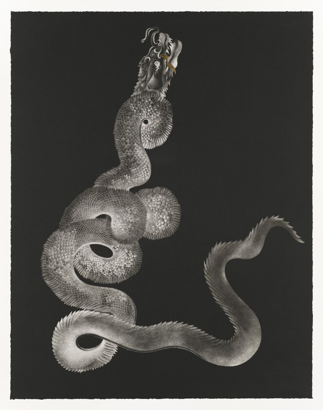 Naga