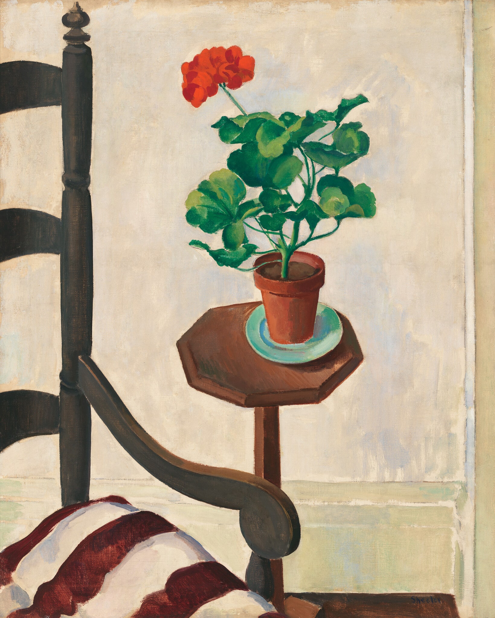 Geranium