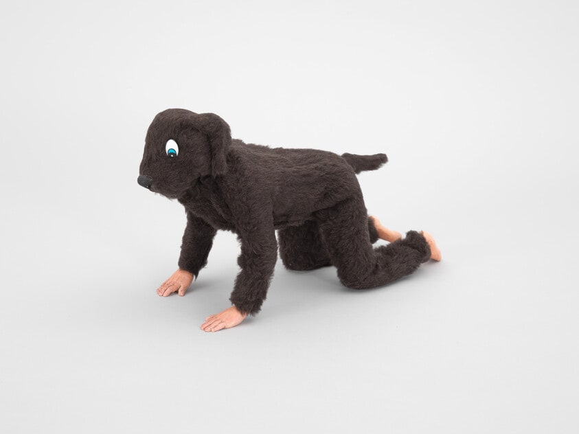 Dog Suit