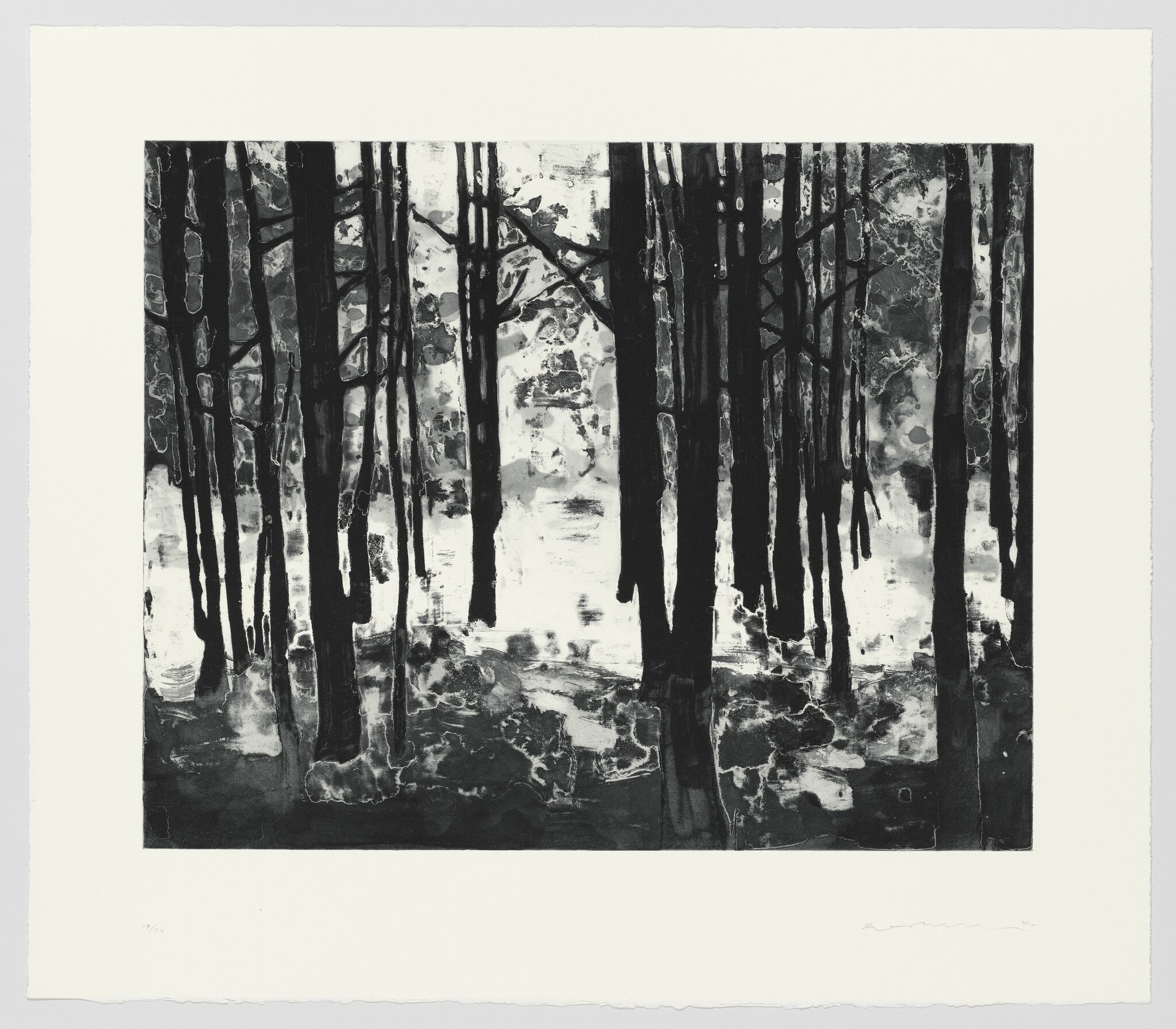 Landscape III (Bright Forest)