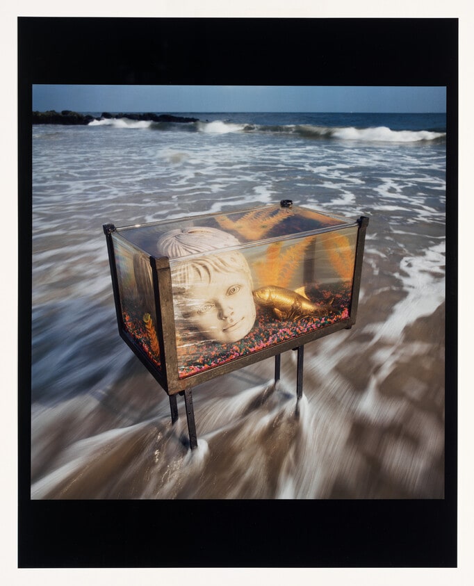 A Golden Carp Whispered Bits of Ancient Lone Earthly Seductions to Bring Her Man by the Scone, Reese Park, N.Y.