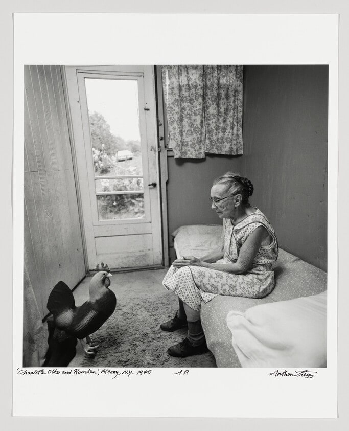 Charlotte Olds and Rooster, Albany, N.Y.