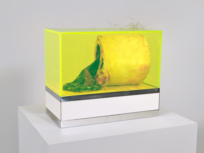 Untitled from the series Technological Reliquaries