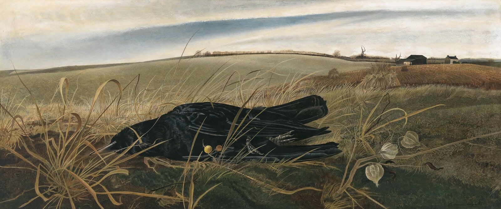 Winter Fields