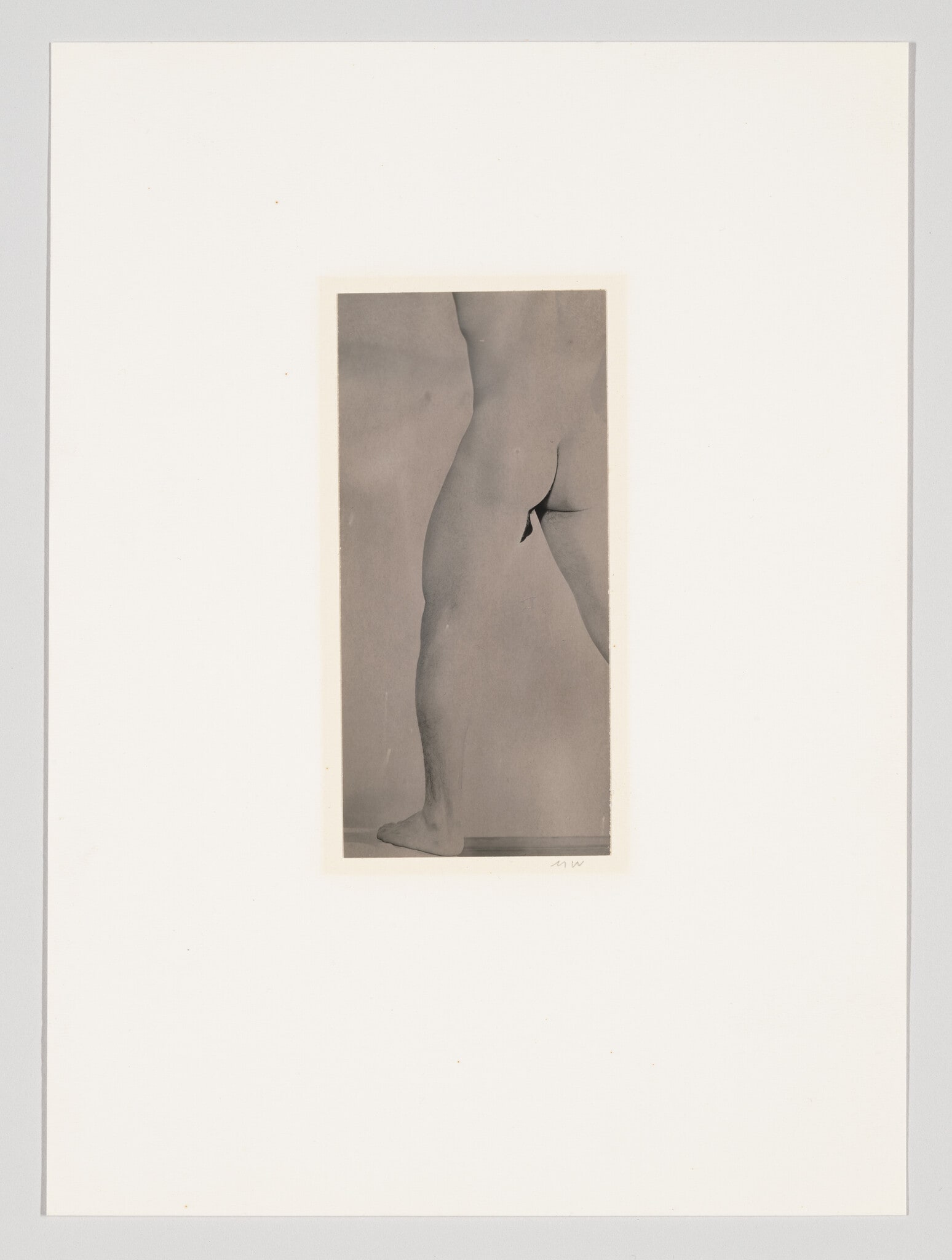 Solarized Nude, Portland, Oregon