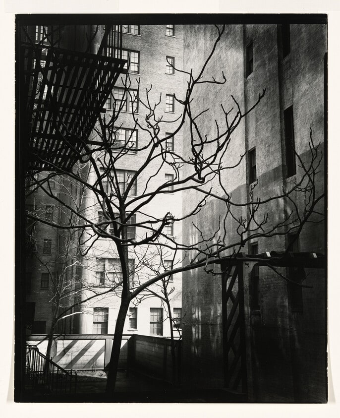 New York, Manhattan Courtyard