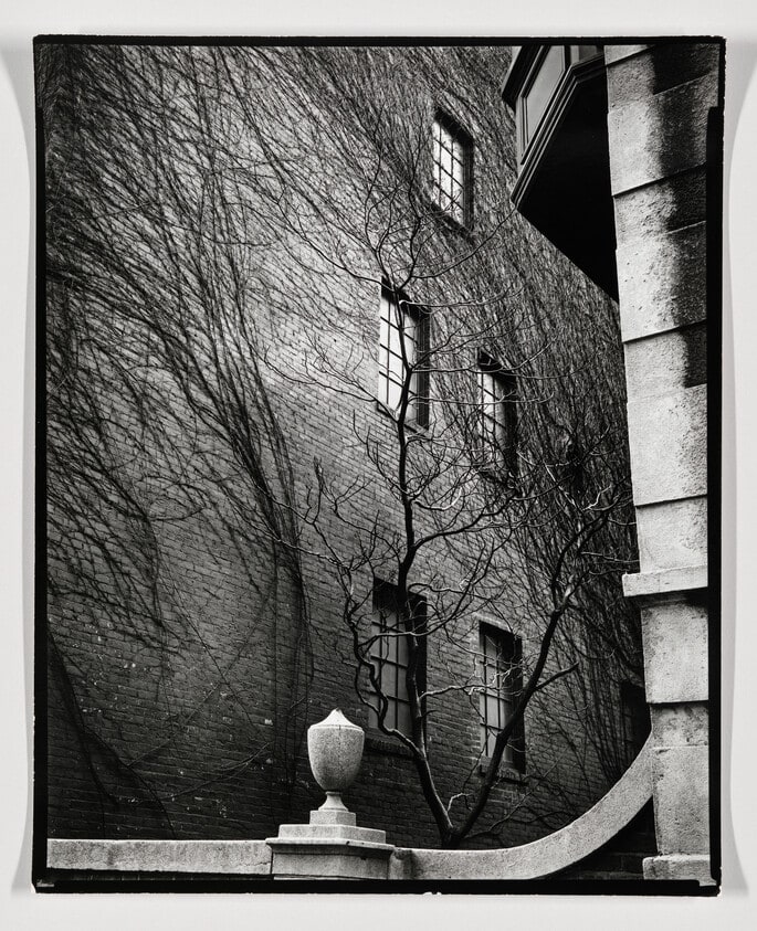NY Courtyard