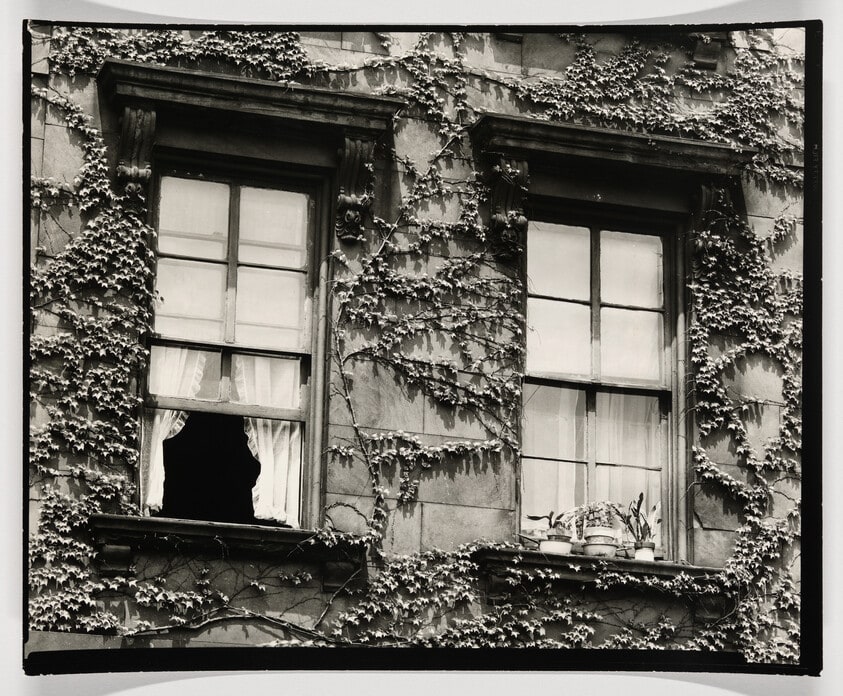 NY Window