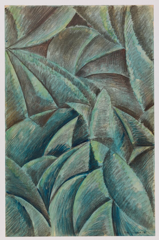 Forest Scene