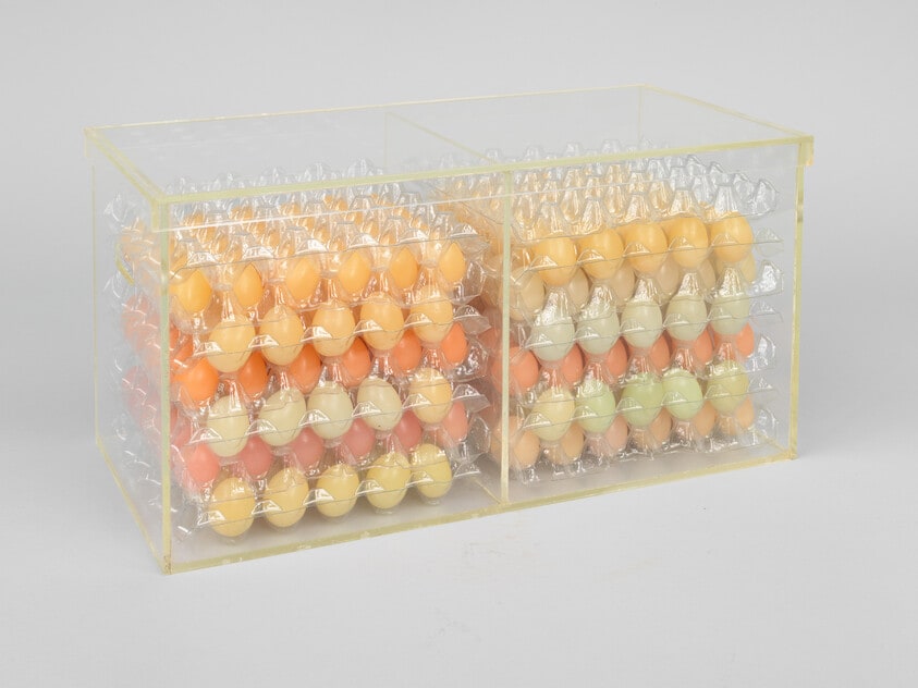 Case of Eggs (with Rainbow Wax Eggs)