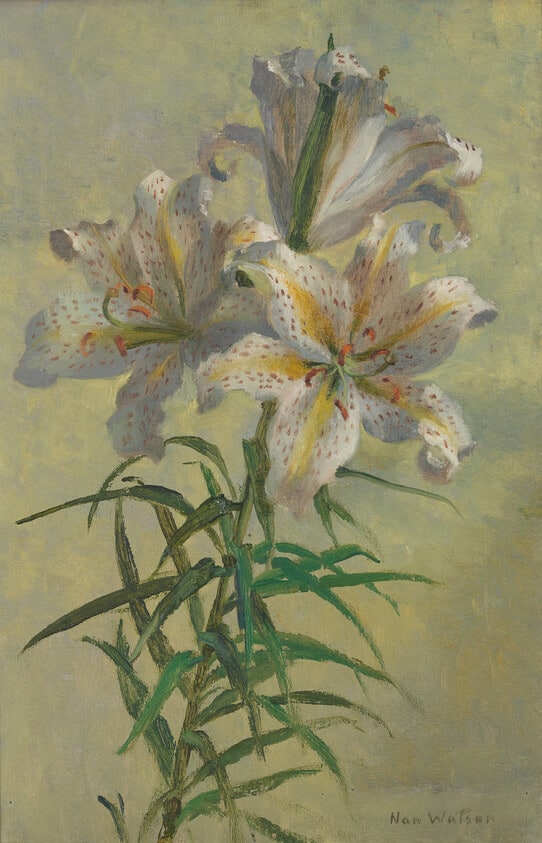 Lilies