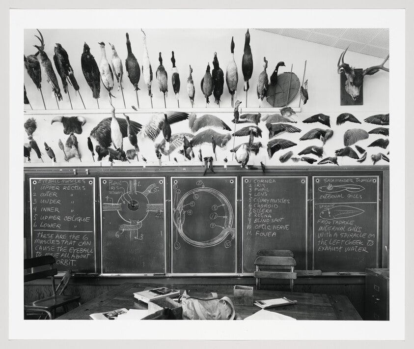 Moss Landing Elementary School, Seventh and Eighth Grade Science Room, Moss Landing, California