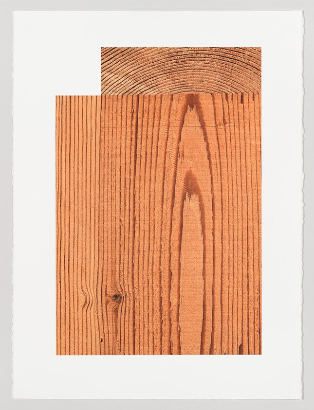 Veneer #4