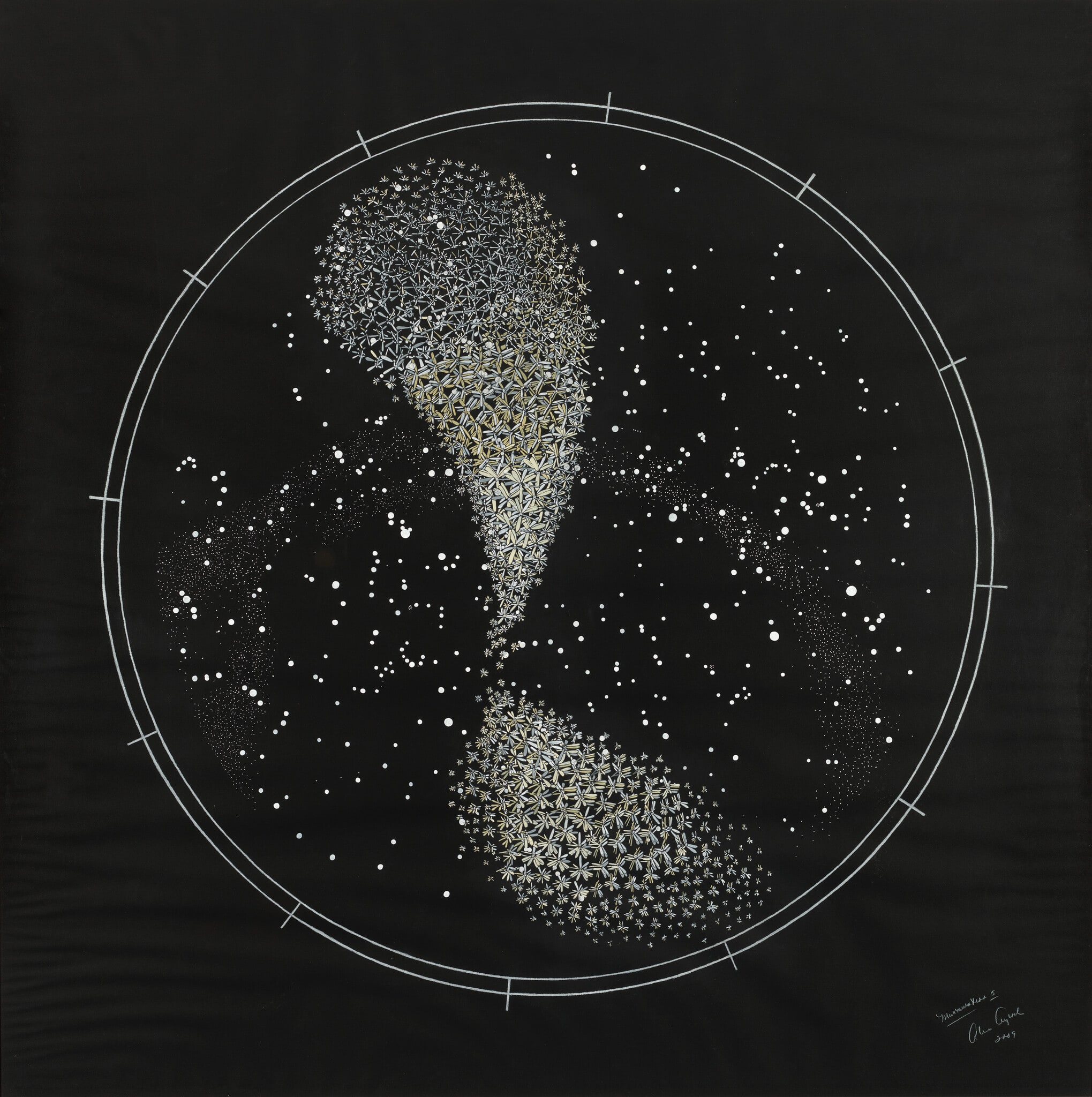Things Pass By in the Night: Murmuration 5