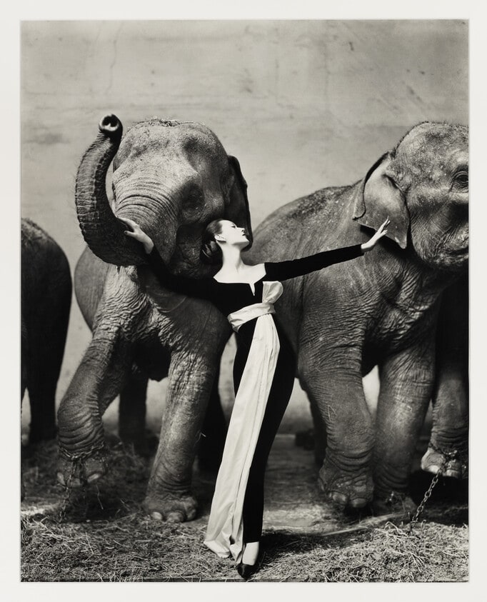 Dovima with Elephants, Cirque d'Hiver, Paris