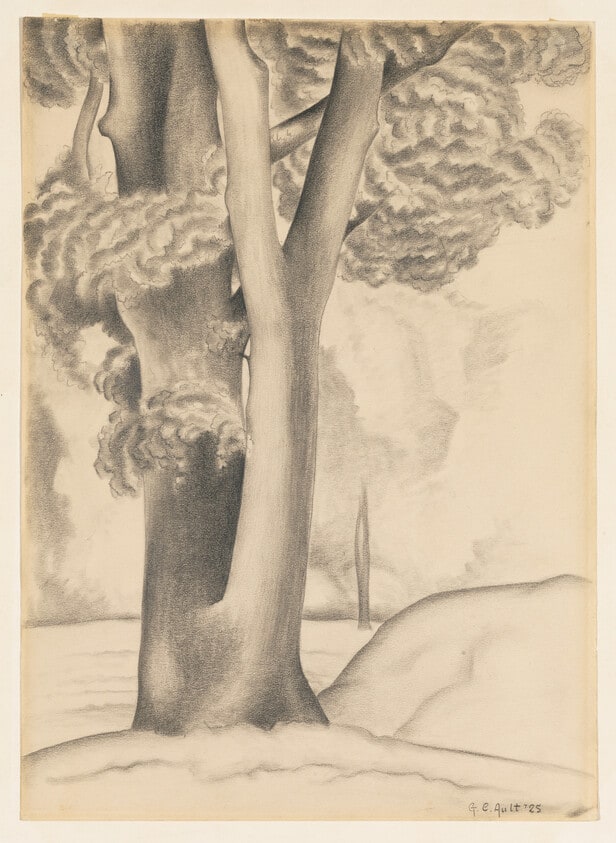 Trees